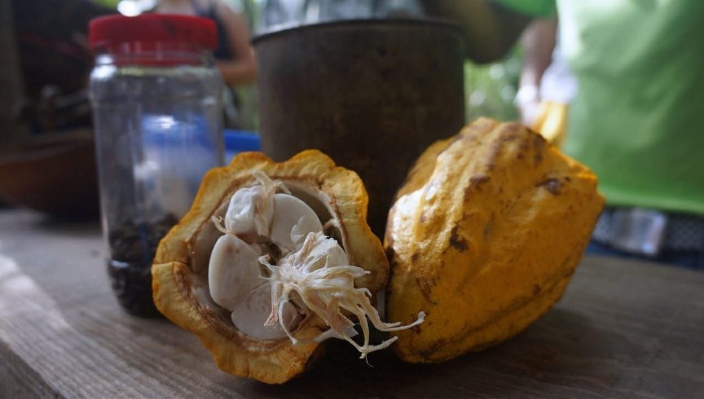 You’ve got to help me identify this fruit. I couldn’t understand what they were saying.