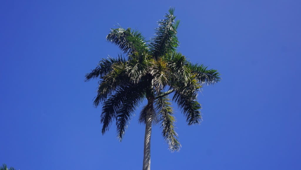 DSC01571-1024x580