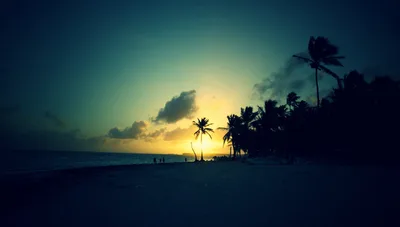 A review of The Melia Caribe Tropoical Hotel in Punta Cana