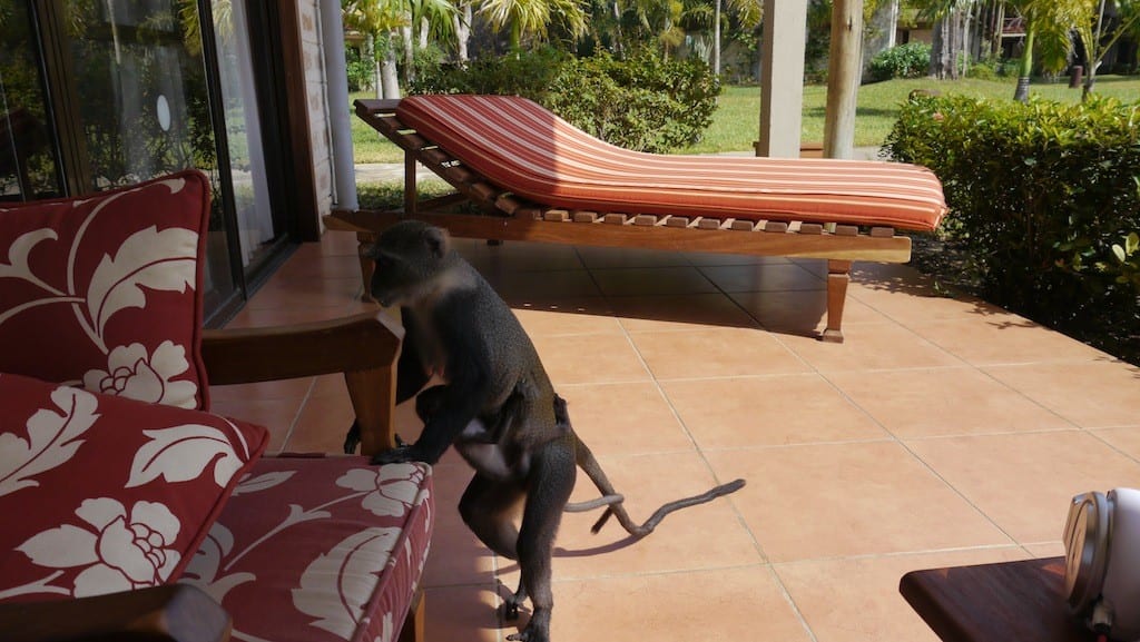 I’ll just sit over here.