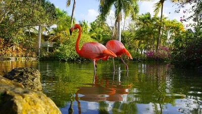 An uneventful day in Punta Cana