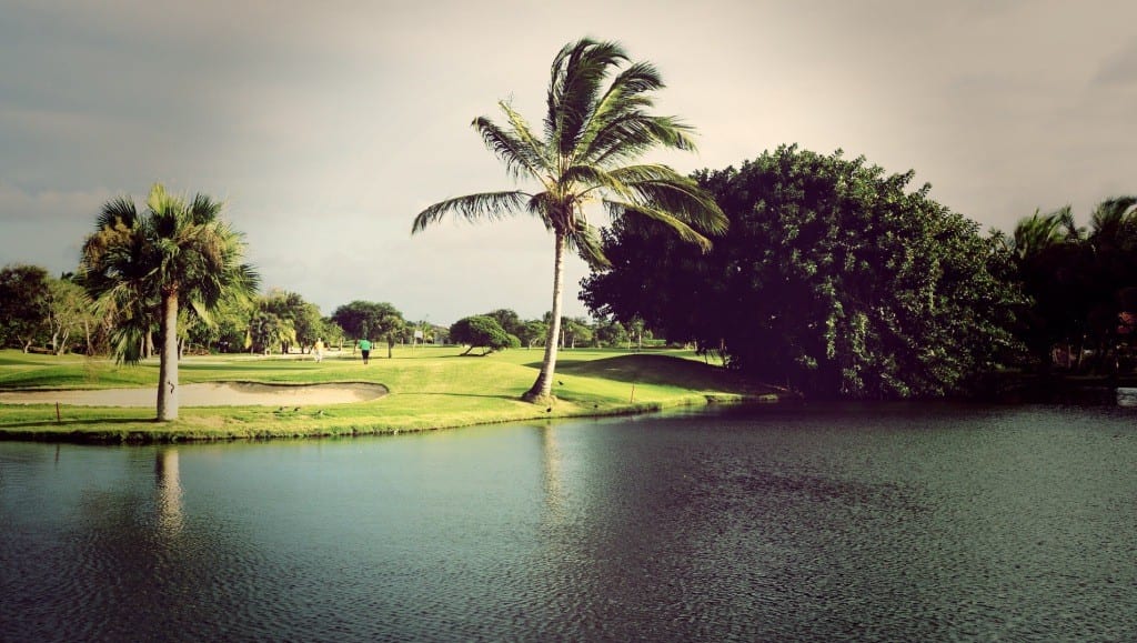 Around noon, I decided to take a stroll around the hotel.