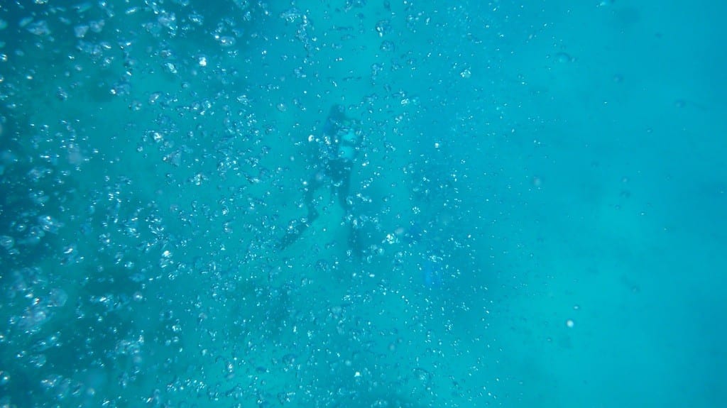 P1010187