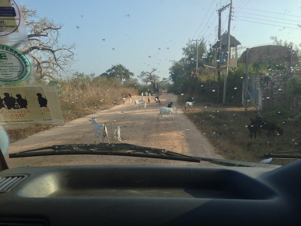Road seen from car