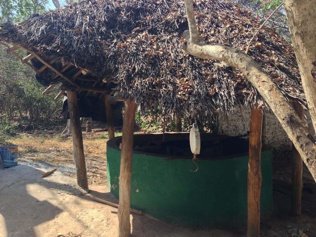 Shaded village well