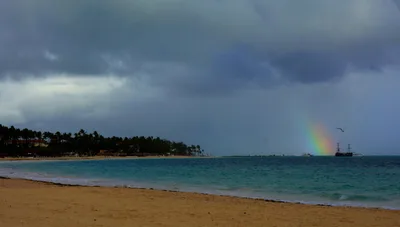 Looking for my paradise beach