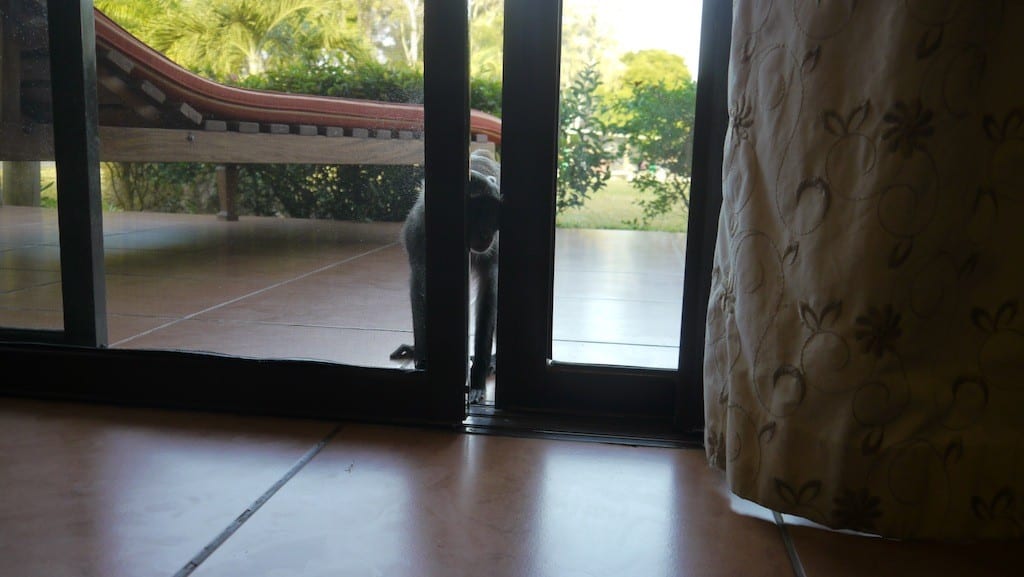 can i come in