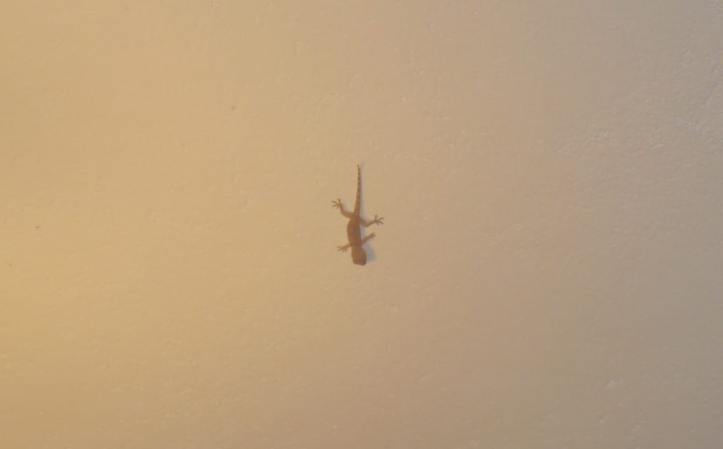 Imagine trying to fall asleep, knowing that this thing can drop on your face any minute.
