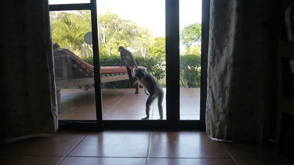 I swear I heard one of them yell ‘ALRIGHT, he’s coming!’