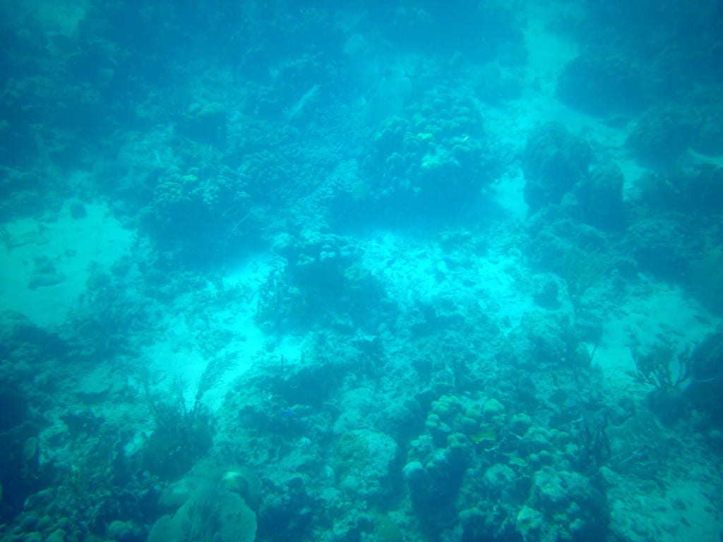 underwater
